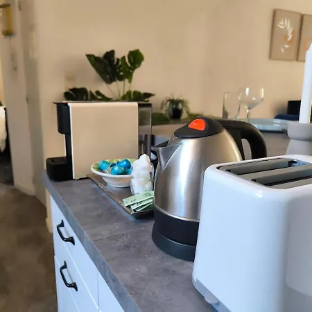 Apartment Le Cocon Foch Premium - Lumineux - Centre - Proche Gare Nancy
